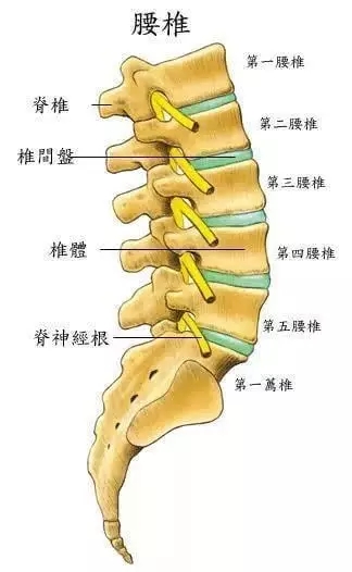 悬吊训练康复治疗缓解中老年人颈腰综合征！(图3)