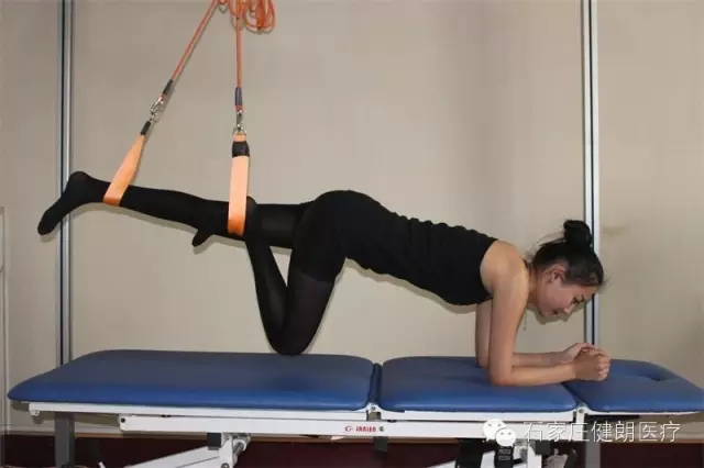 悬吊运动治疗腰痛的核心肌群训练(图11)