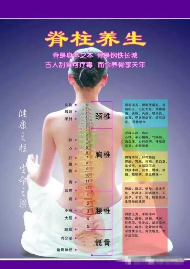 颈椎，腰椎诊断秘诀及悬吊训练康复(图1)