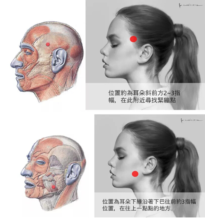 头痛欲裂?! 3个方法放松头部筋膜！(图6)