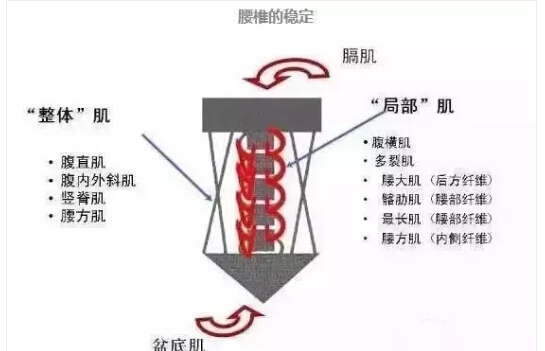 新兴的康复疗法--悬吊训练(图2)